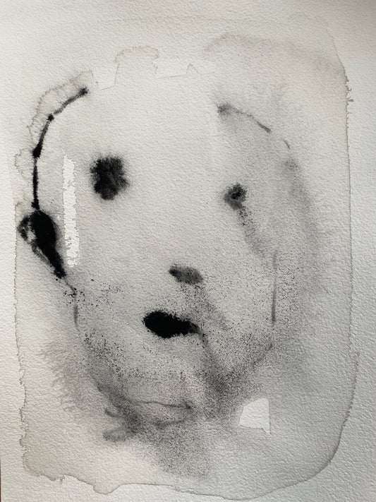 From the serie "Lost and never founds"