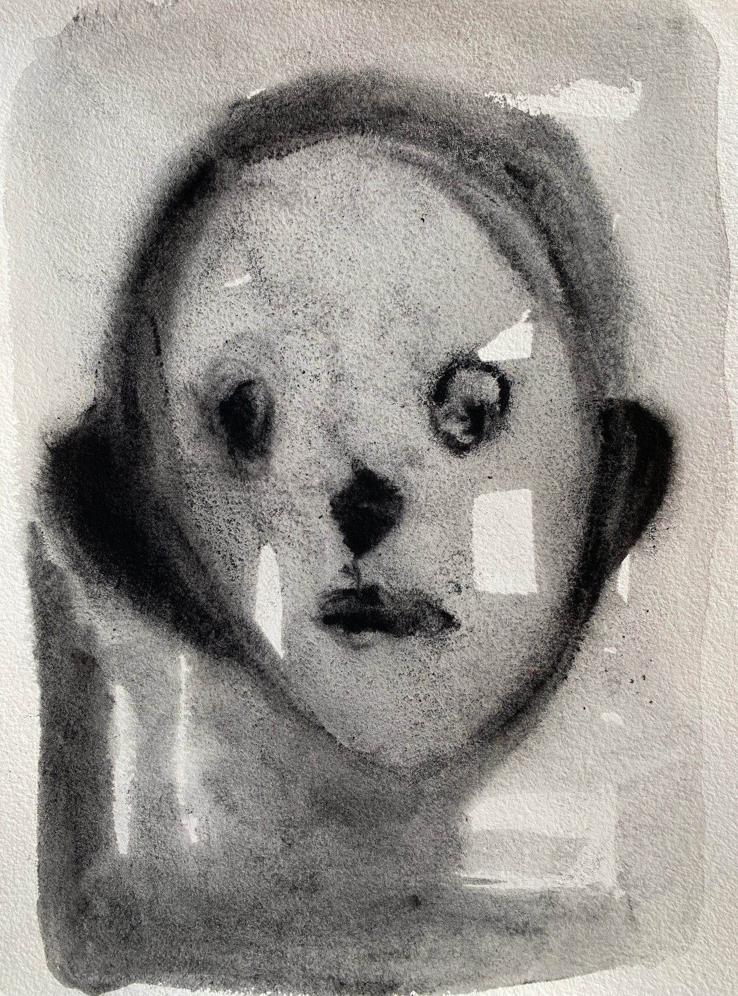 From the series ‘Lost and never found’